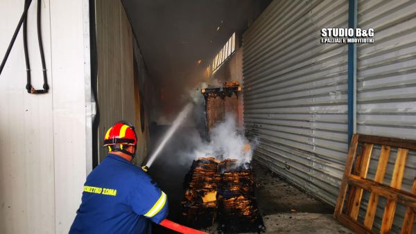 fotia-argolida2.jpg fotia-argolida2.jpg