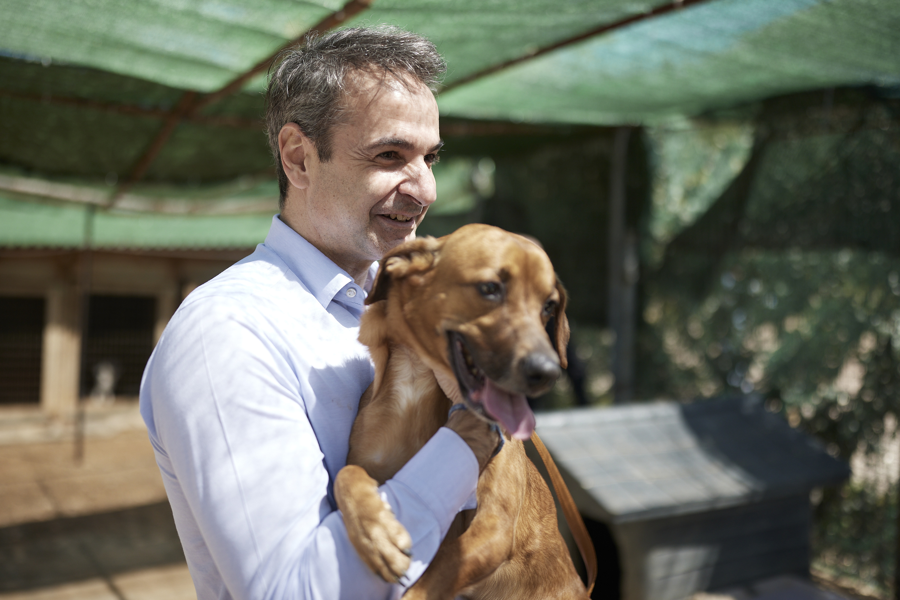 kyriakos-mitsotakis-zoa-syntrofias_2.jpg Κυριάκος Μητσοτάκης, ζώα συντροφιάς