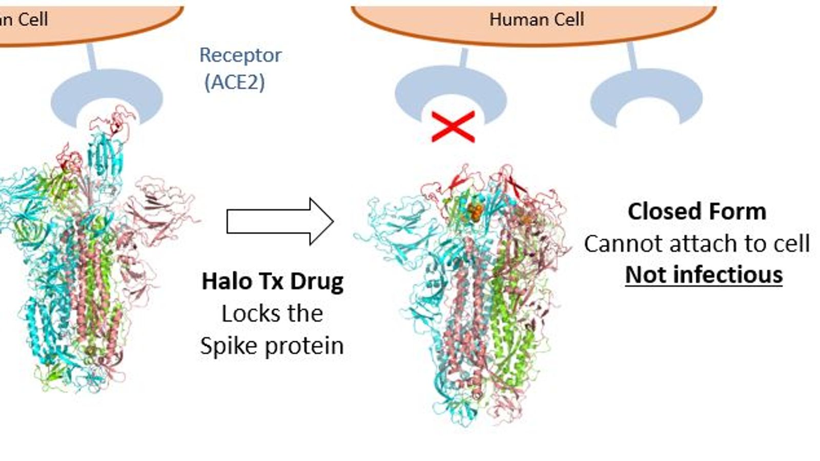 skynews-halo-drug_5340264.jpg skynews-halo-drug_5340264.jpg