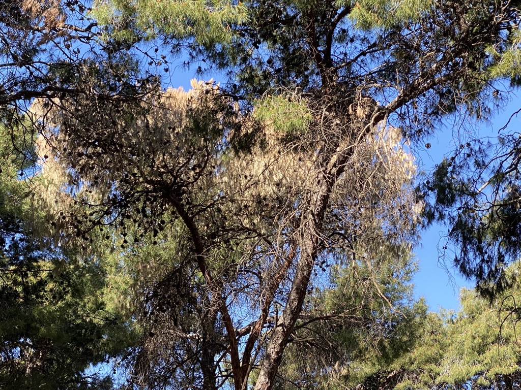 unadjustednonraw_thumb_125b.jpg Στο πάρκο της Νέας Ελβετίας στη Θεσσαλονίκη