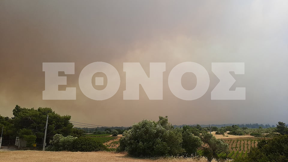 sxino_2.jpg sxino_2.jpg