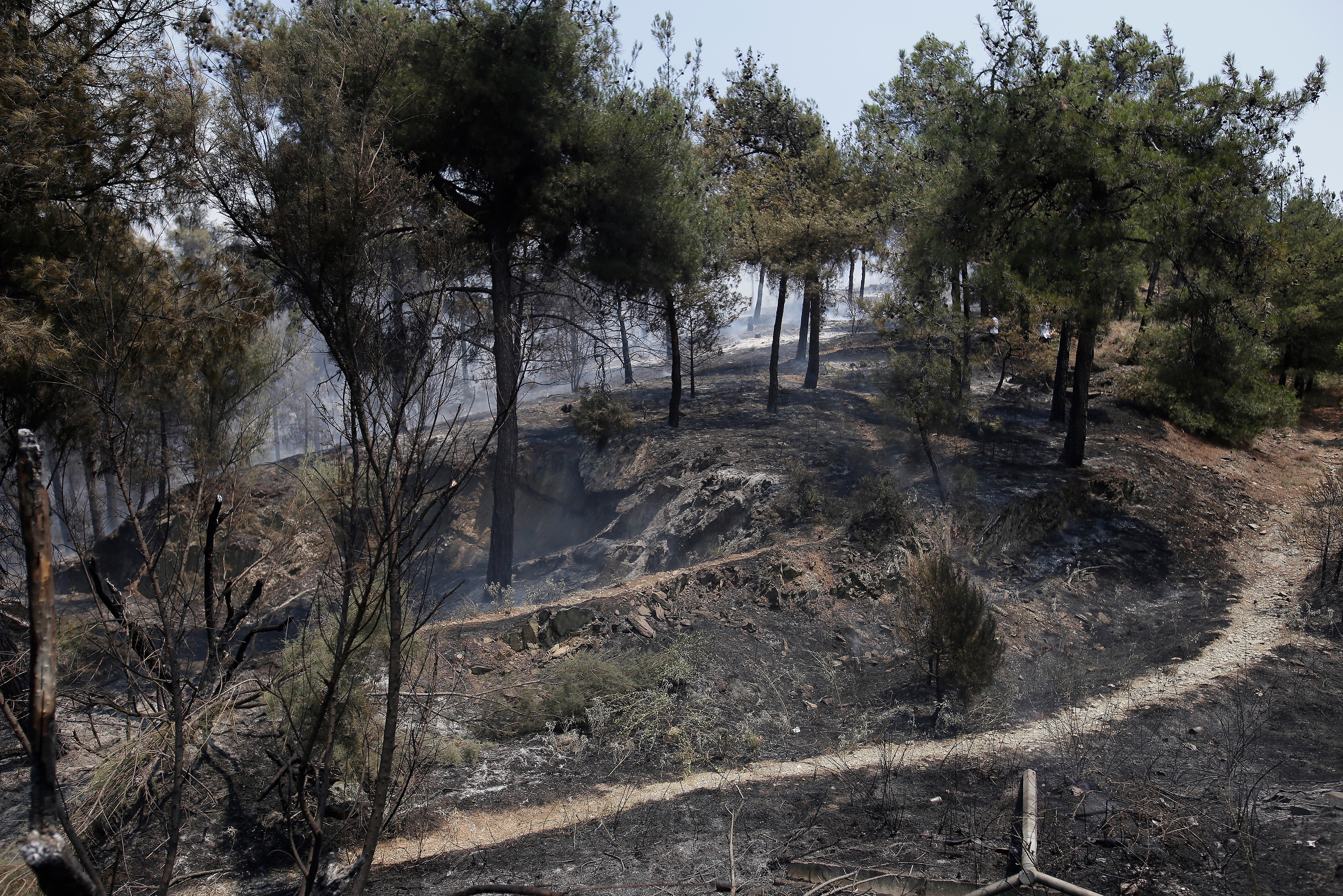 3216800.jpg Σε ύφεαη η φωτιά στο Σέιχ Σου