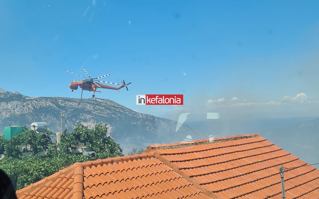 fotia-kefalonia1.jpg fotia-kefalonia1.jpg