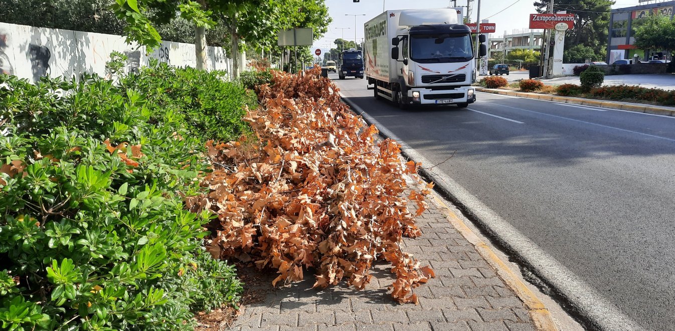 mlati-fotia_3.jpg Μάτι