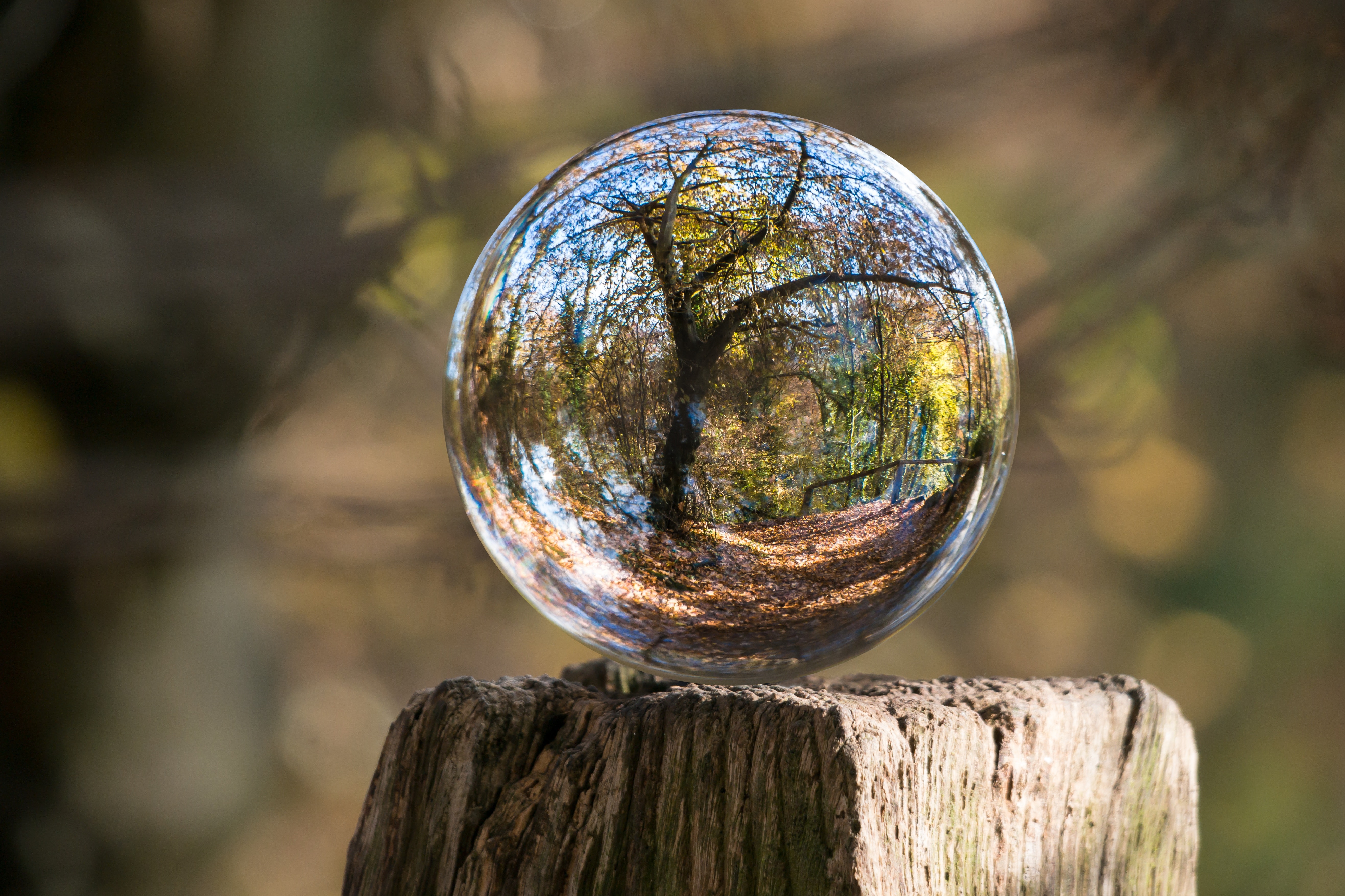 pexels-pixabay-235615.jpg περιβάλλον