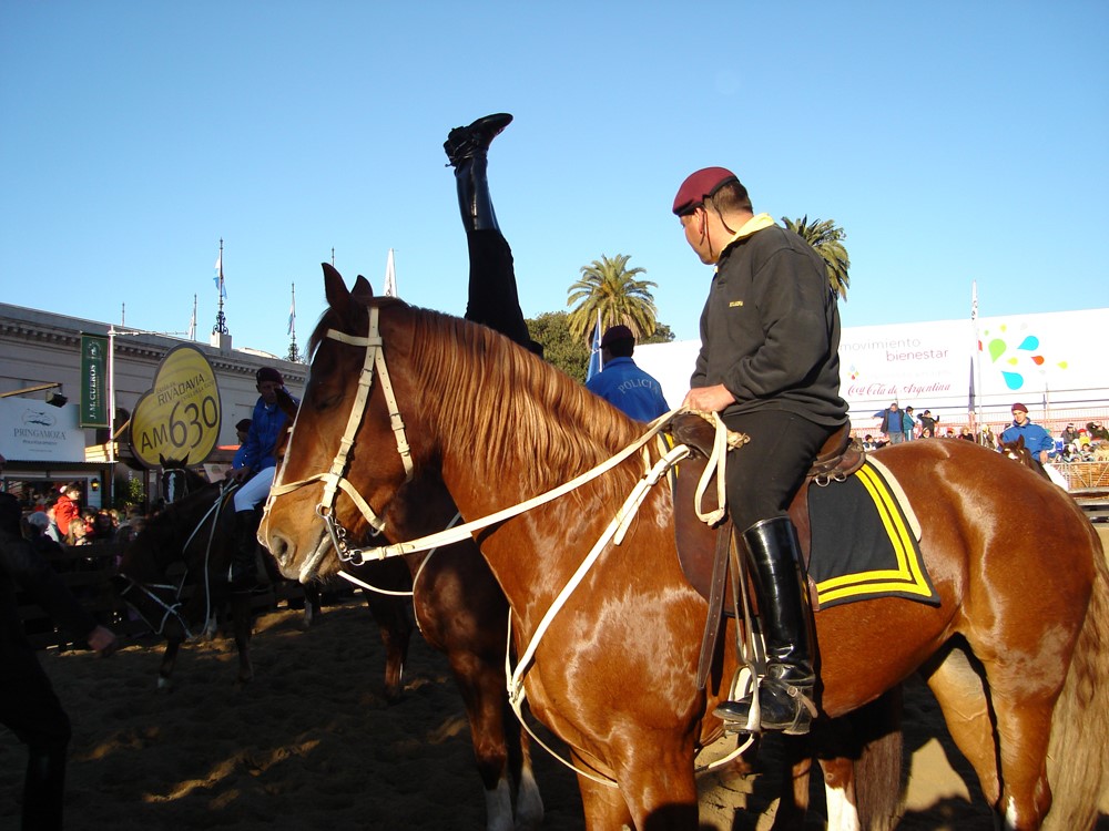 thumbnail_buenos.aires_.fiesta.agriculture.02.jpg thumbnail_buenos.aires_.fiesta.agriculture.02.jpg