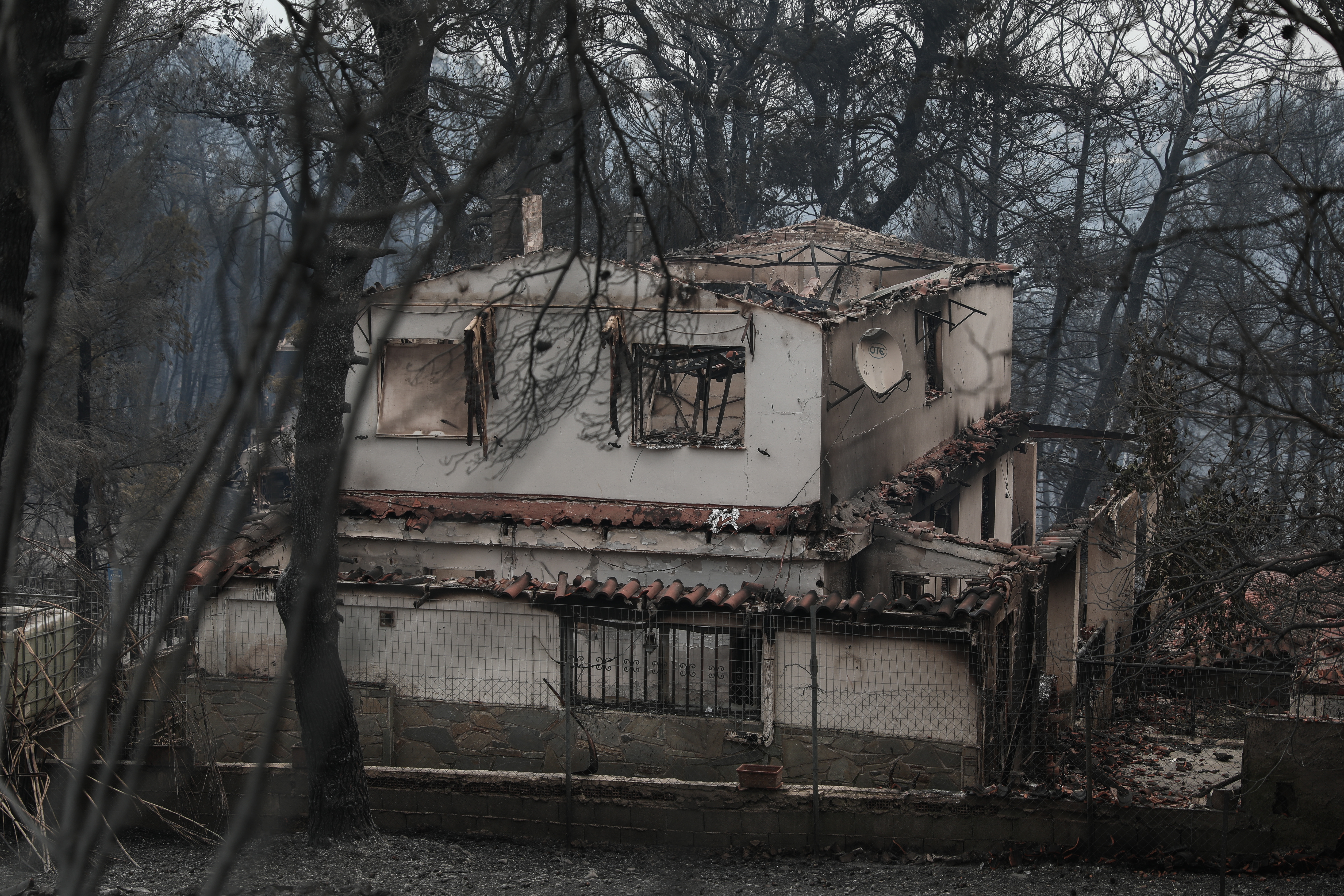 5354562.jpg Κρυονέρι