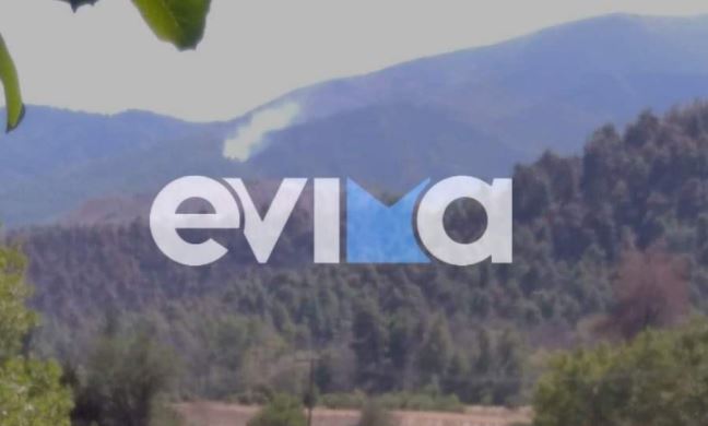 evima.jpg evima.jpg