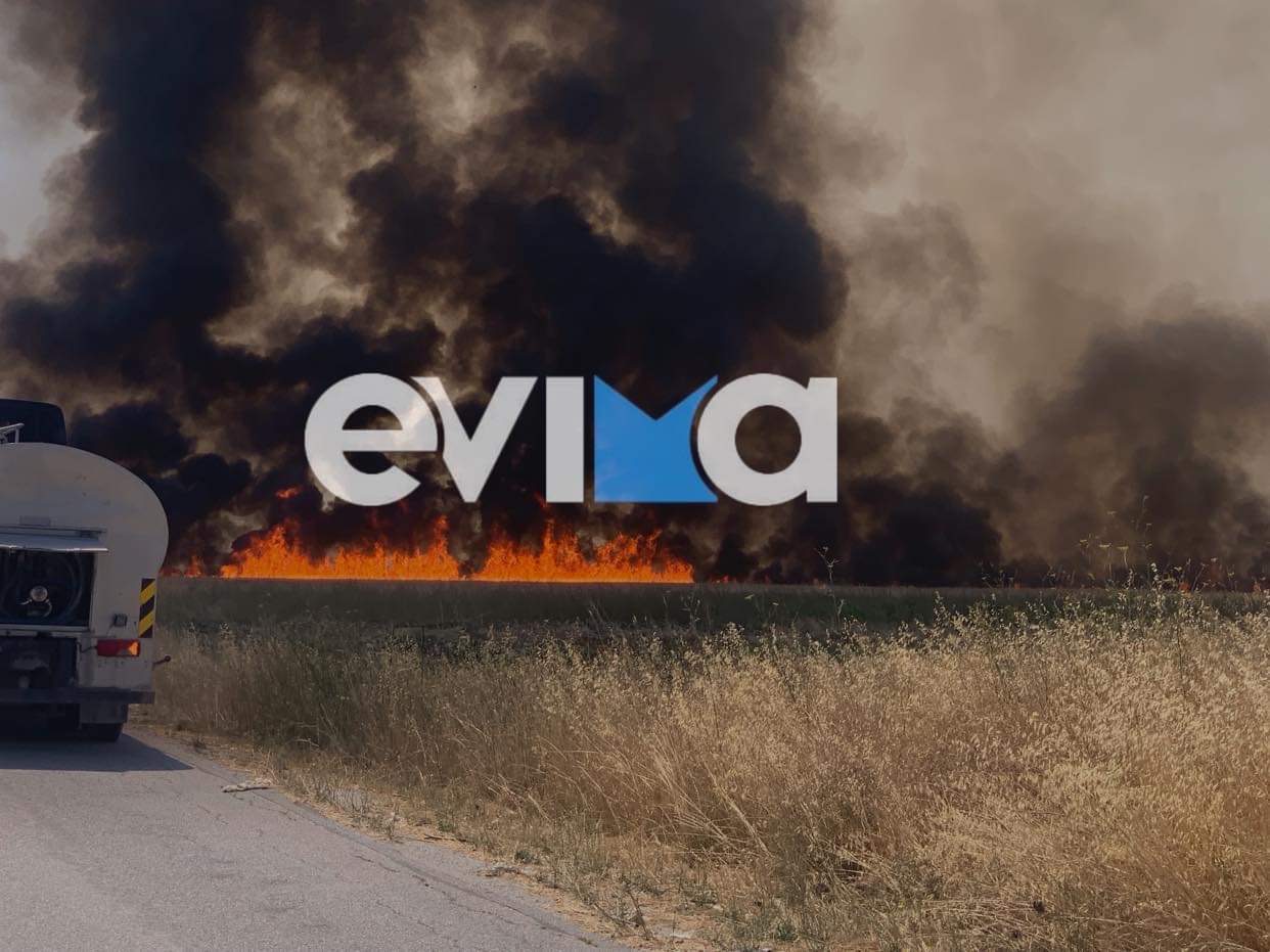fotia-evia.jpeg Φωτιά Εύβοια