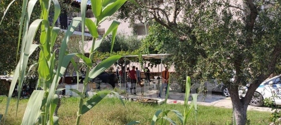 plaza2.jpg plaza2.jpg