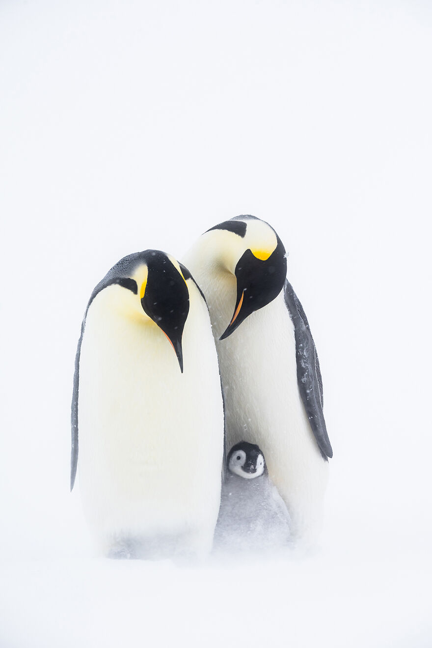 04-ocean-photography-awards-2021.jpg 04-ocean-photography-awards-2021.jpg