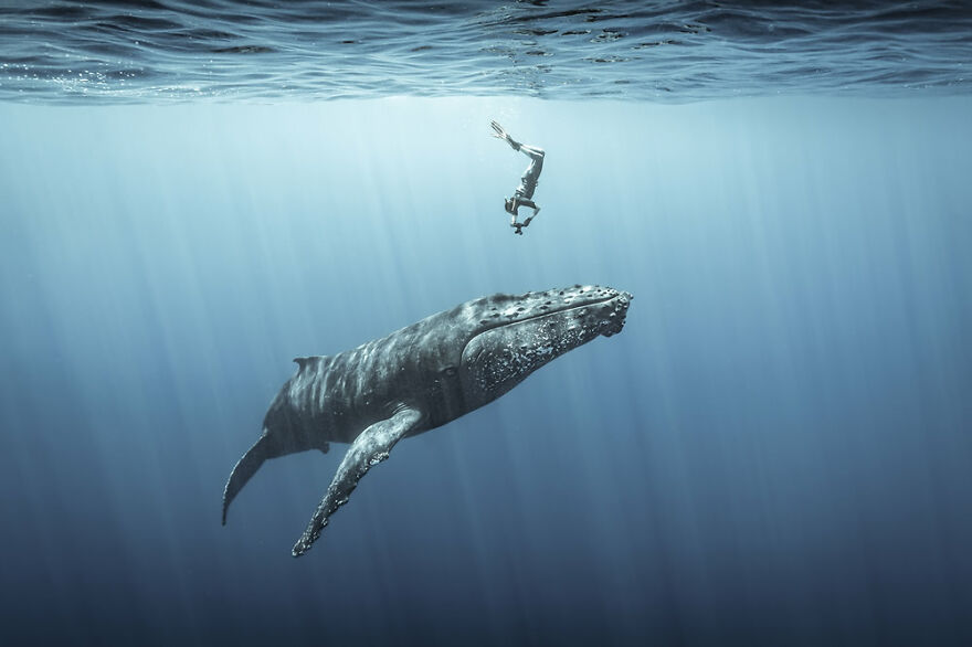 09-ocean-photography-awards-2021.jpg 09-ocean-photography-awards-2021.jpg
