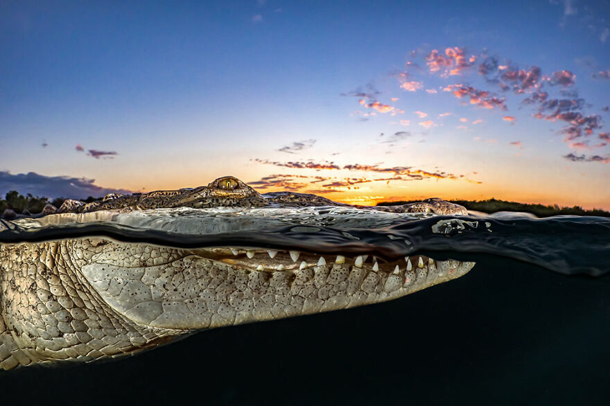 10-ocean-photography-awards-2021.jpg 10-ocean-photography-awards-2021.jpg