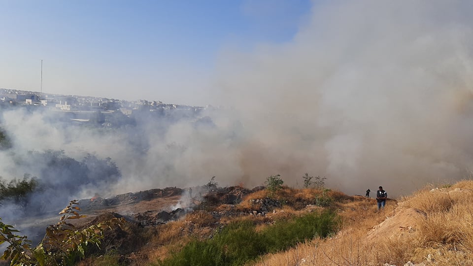 fotia-elaionas-2.jpg φωτιά Ελαιώνας