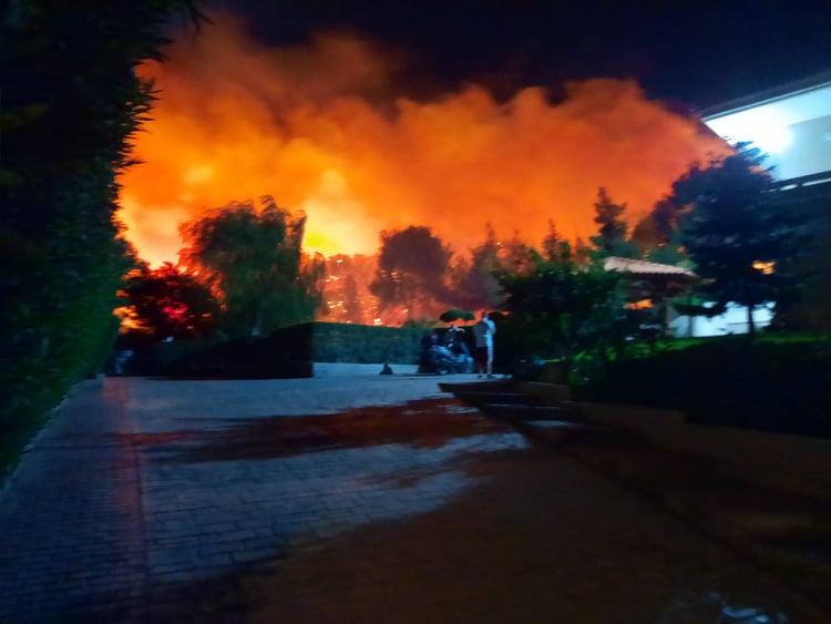 fotia-nea-makri.jpg φωτιά Νέα Μάκρη