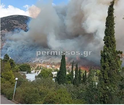 permissos.jpg permissos.jpg