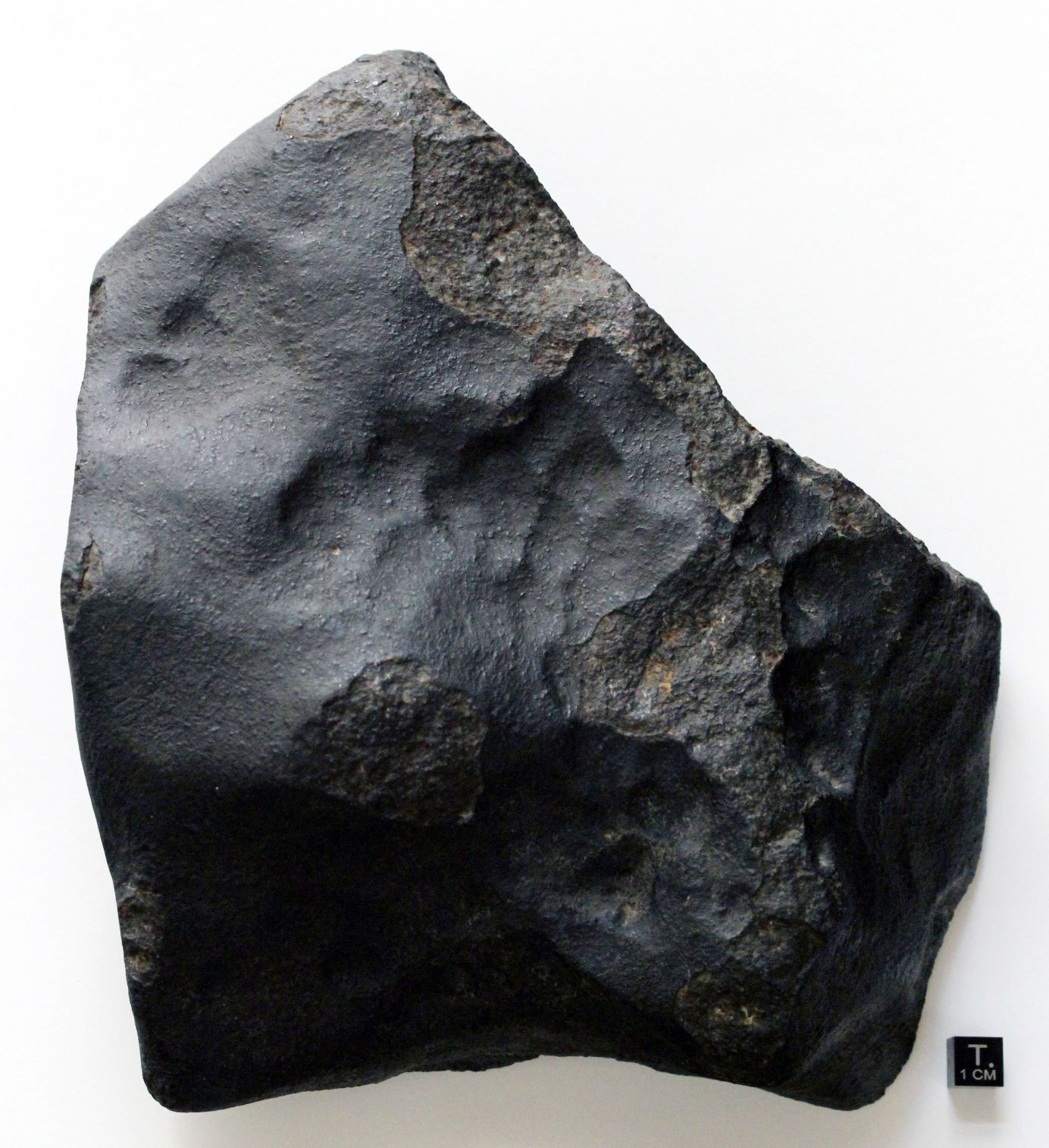 seres_nhmv_a388_cnhmv-ludovicferriere_1a.jpg seres_nhmv_a388_cnhmv-ludovicferriere_1a.jpg