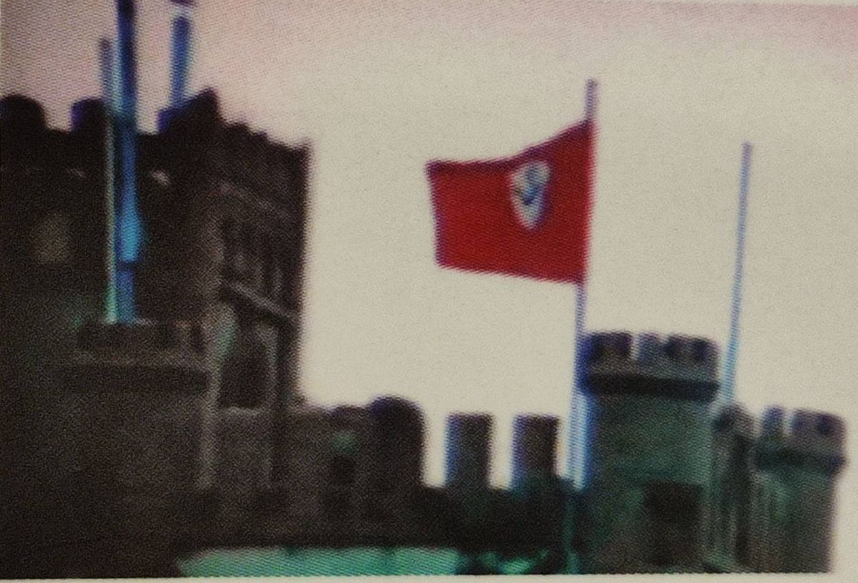 1.jpg 1.jpg