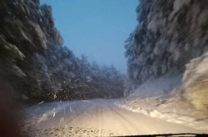 florina456.jpg florina456.jpg