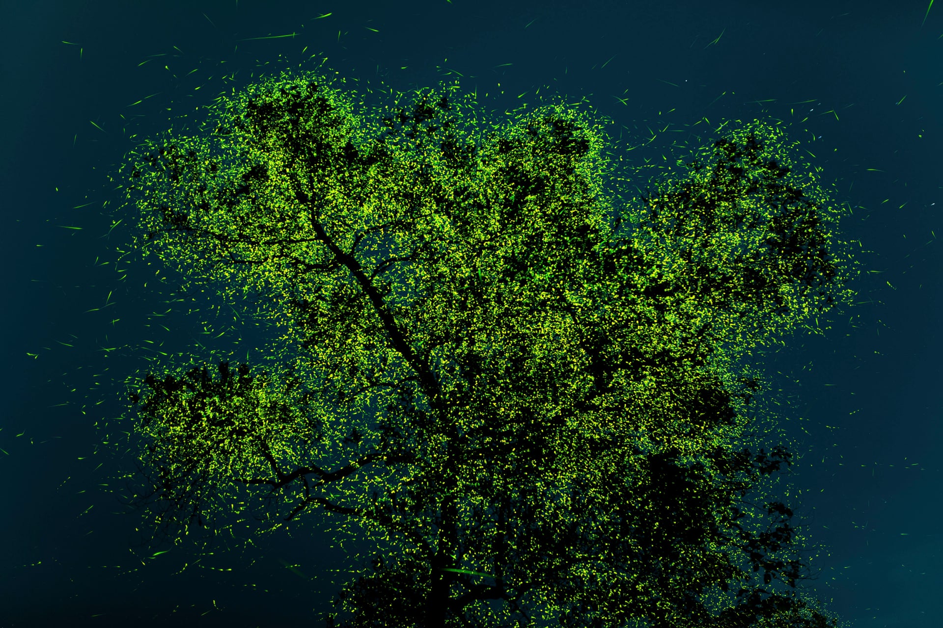 nature_conservancy_02.jpg nature_conservancy_02.jpg