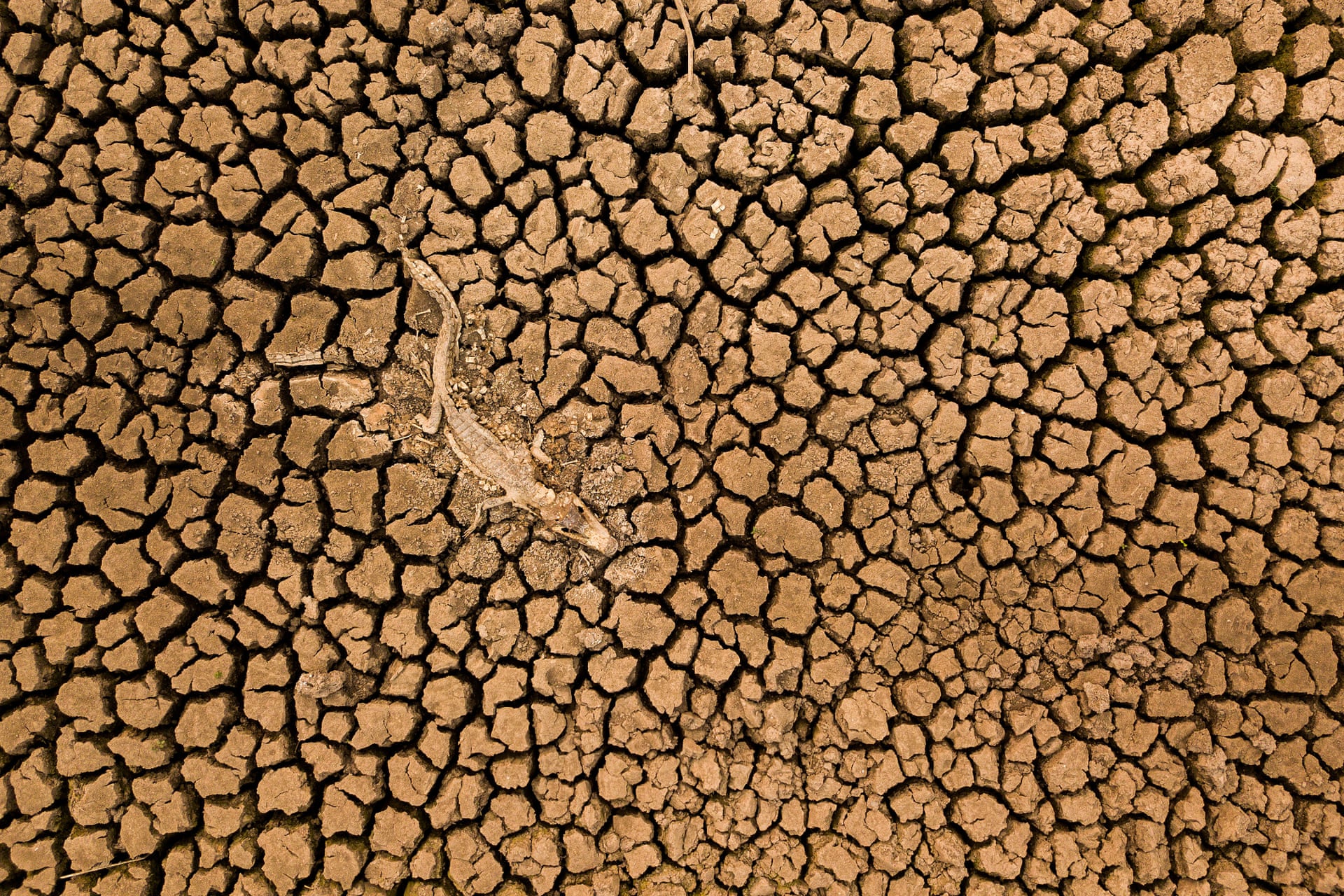 nature_conservancy_03.jpg nature_conservancy_03.jpg