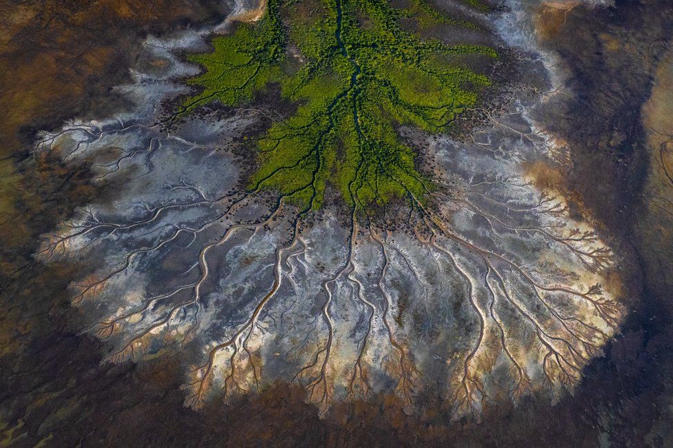 nature_conservancy_05.jpg nature_conservancy_05.jpg