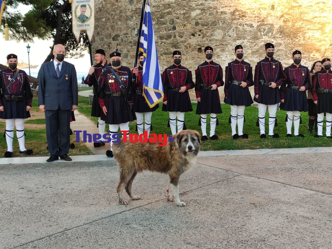 skylos-thessaloniki.jpg skylos-thessaloniki.jpg