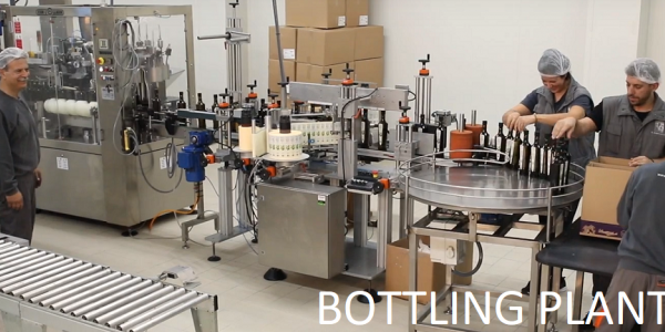 bottling-2.png Η εταιρεία διαθέτει δυο γραμμές εμφιάλωσης δυναμικότητας 10.000 γυάλινων φιαλών ανά ώρα