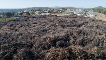 Μάτι