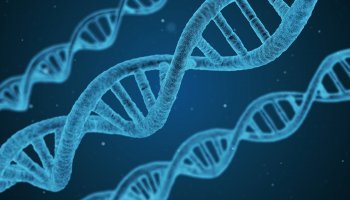 DNA