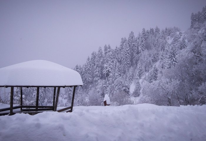 trikala2.jpg trikala2.jpg