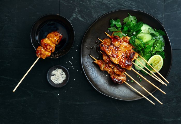 giakitori2.jpg
