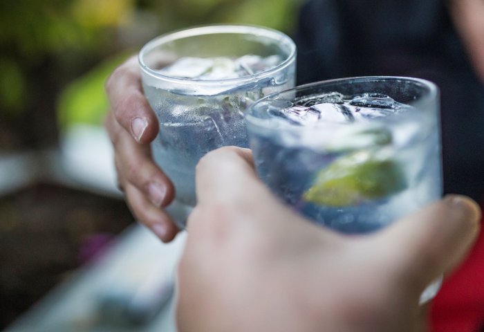 gin2.jpg gin2.jpg