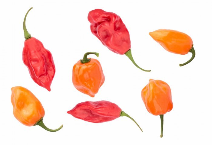 piperies_habanero.jpg piperies_habanero.jpg