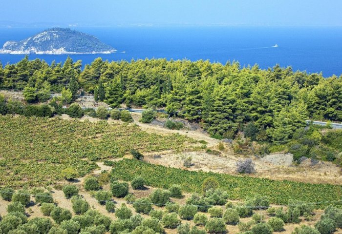halkidiki115_f28867.jpg halkidiki115_f28867.jpg
