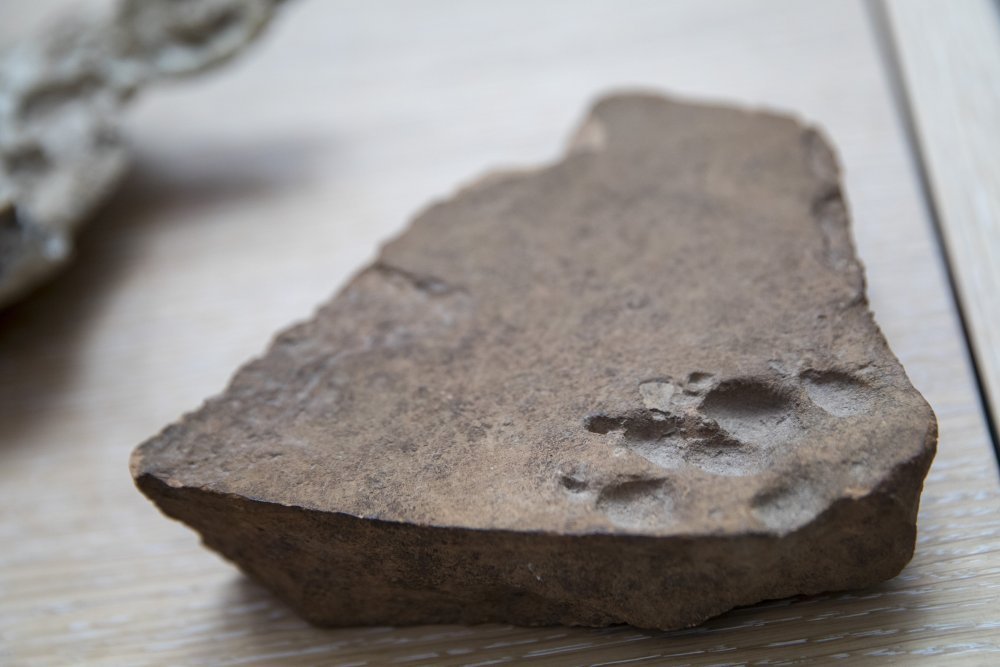 ap_19010694755075.jpg