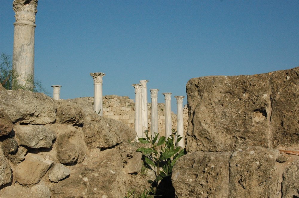 salamis.jpg salamis.jpg