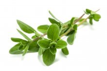 mantzoyrana.jpg mantzoyrana.jpg